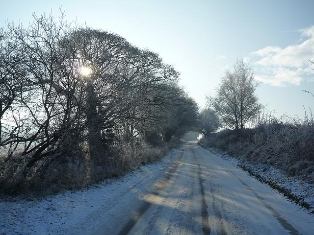 Hoar frost, Stourbridge,  22nd December 2009