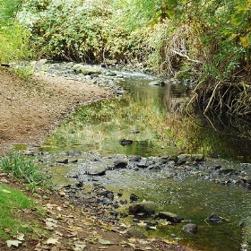 DSC_1987 - busbeytheelder