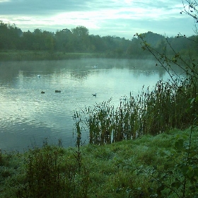 Straws bridge - tatteralan