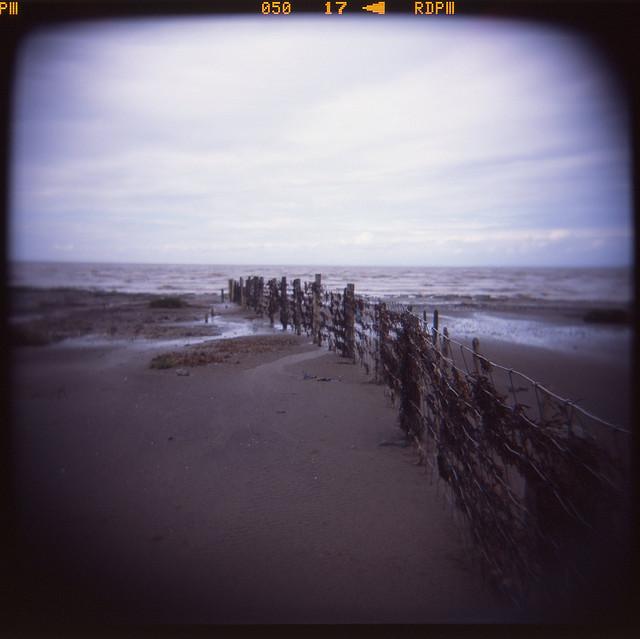 Seaweed Covered Fence at Steart