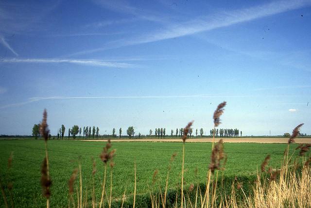Christchurch, near Wisbech. May 1993