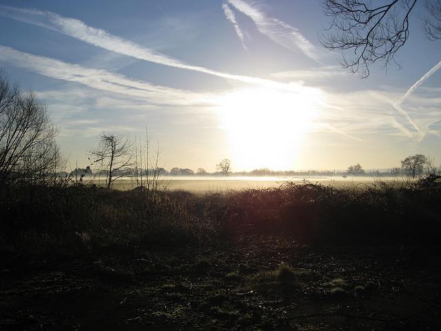 Surrey morning skyline