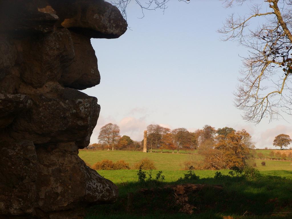 STONE FACE
