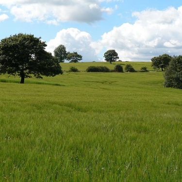 Huddersfield